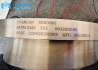 Cincin Paduan Titanium Katup F12